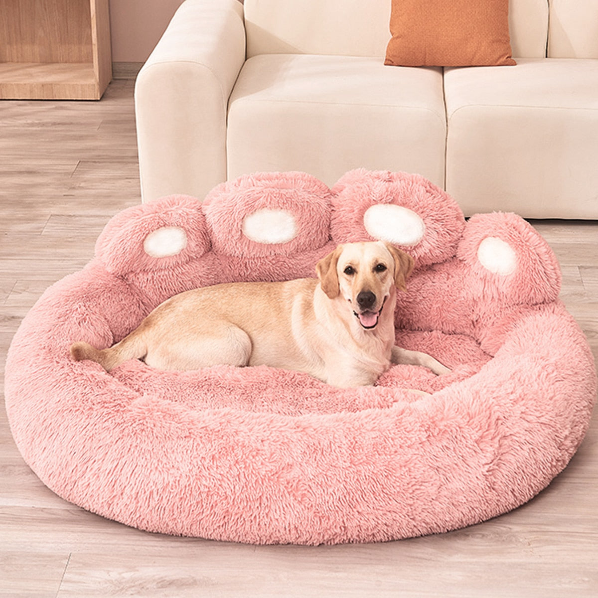 Dog Sofa Beds for Small Dogs